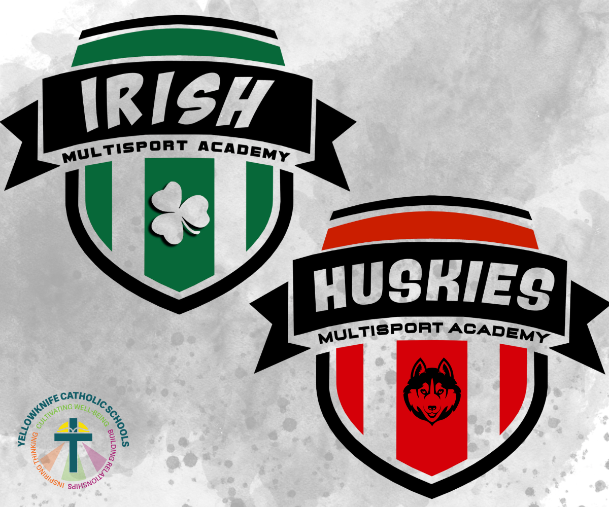 Multi Sport Academy Website Image